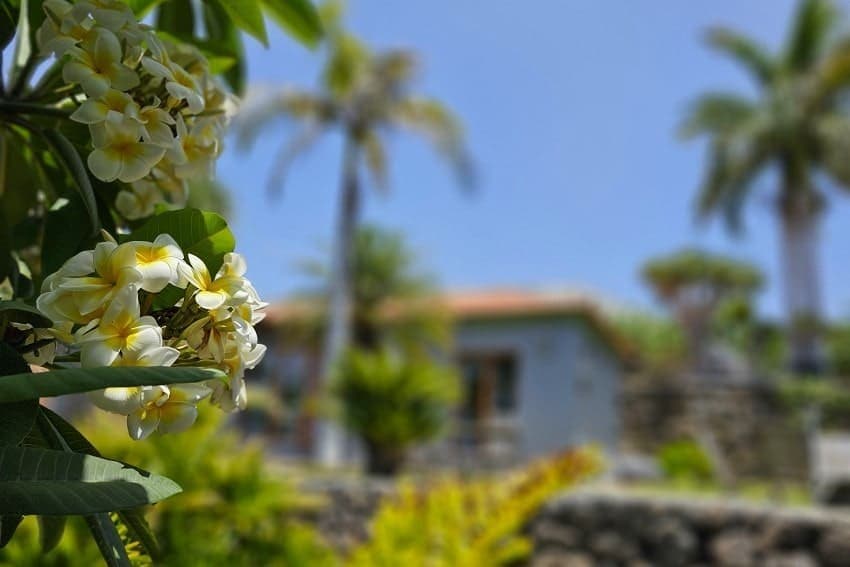 Jardín, Casa La Gorgonia, Alquiler Vacacional Tijarafe