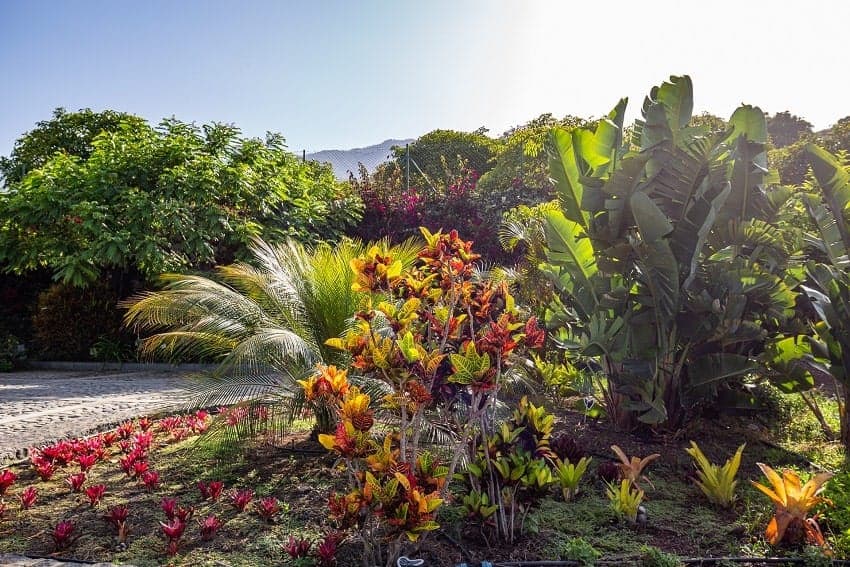 Garten, Casa Ocanto, Ferienhaus mit Pool La Palma