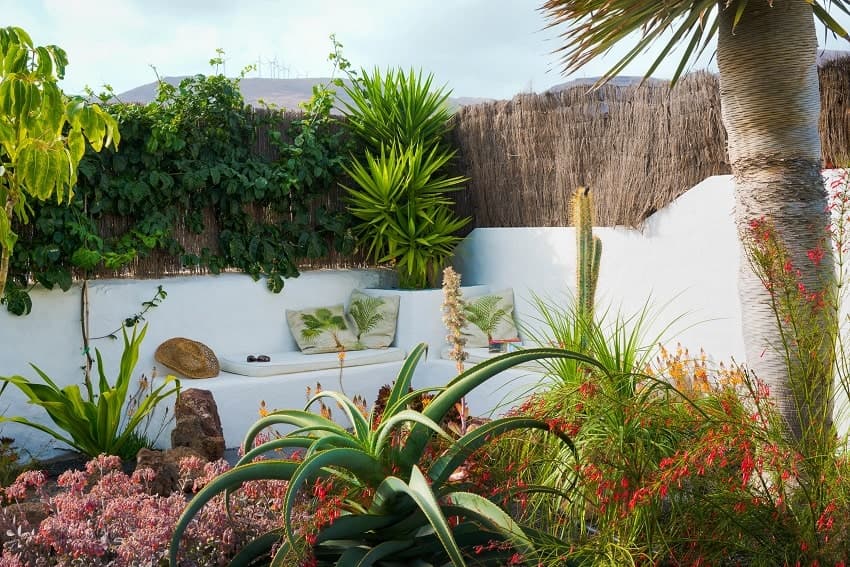 Jardín, Garden Apartment, Apartamento en Lanzarote