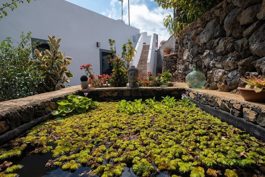Estanque, Villa La Graja, Villa con Piscina Privada en Los Llanos