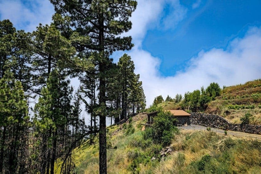 Landscape, Bodega Linda, Holiday Home Puntagorda