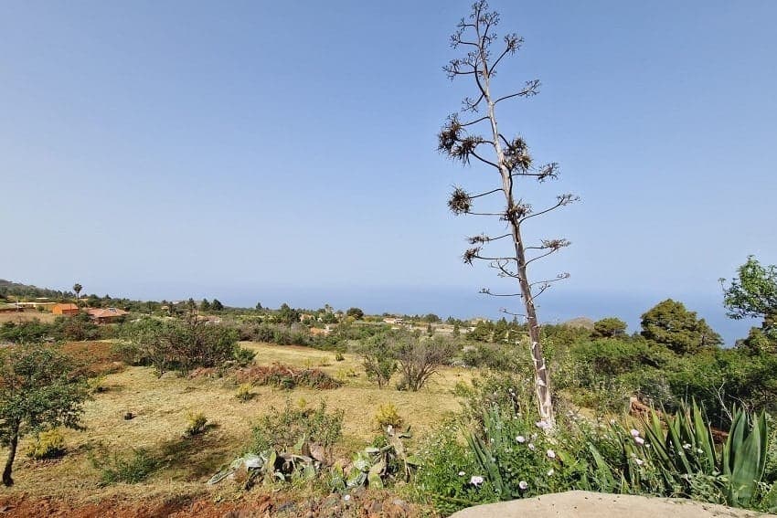 Vista, Casa Huli, Alquiler Casa Rural en La Palma