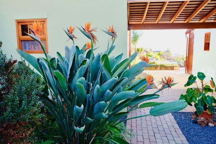 Entrance, Villa Tigotan, Villa Rental La Palma Canary Islands
