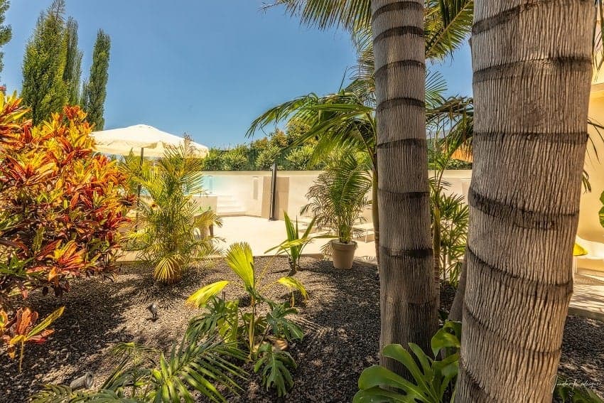 Garten, Bayton House, Ferienhaus Los Llanos