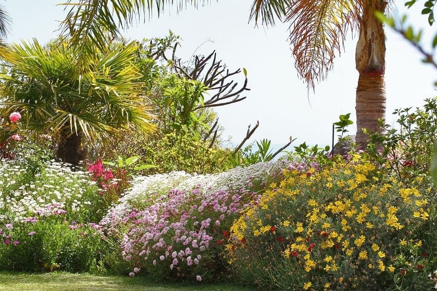 Jardín, Casa Amalia, Casa Rural con Piscina Privada en La Palma