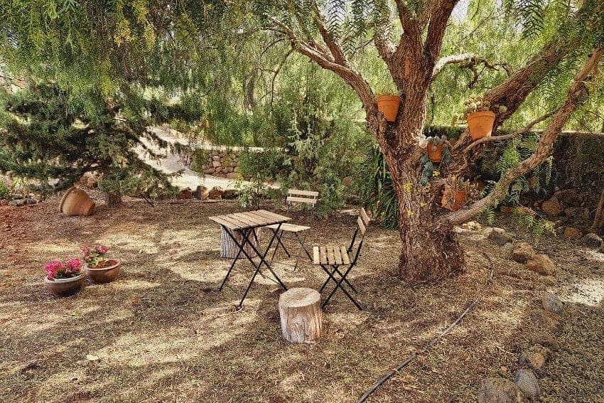 Jardín, Casa Huli, Alquiler Casa Rural en La Palma
