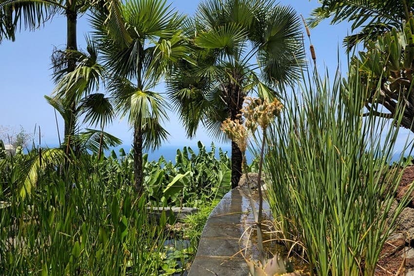 Jardín, Casa Las Vetas, Alojamiento La Palma