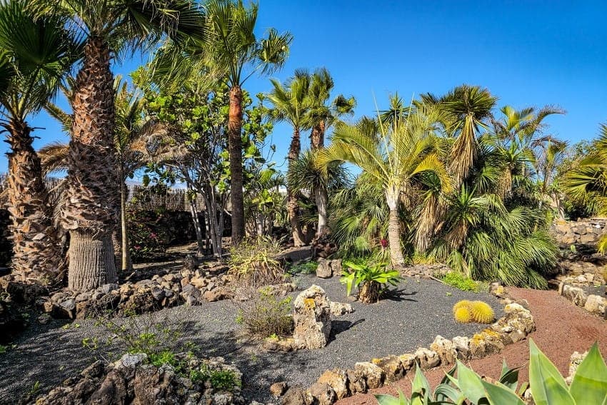 Garden, Villa Ellanoor, Villa with Pool Fuerteventura Garden, Villa Ellanoor, Villa with Pool Fuerteventura