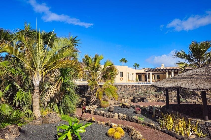 Garden, Villa Ellanoor, Villa with Pool Fuerteventura Garden, Villa Ellanoor, Villa with Pool Fuerteventura