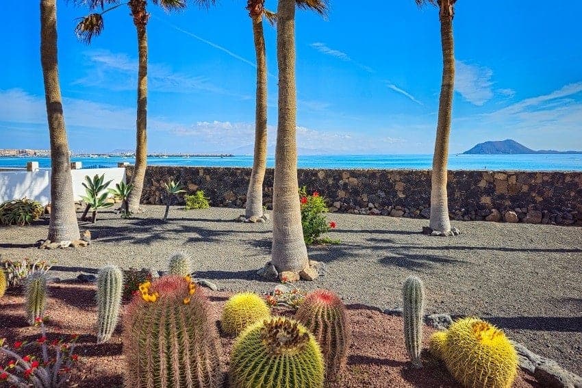 Garten, Villa Luma, Ferienhaus Corralejo
