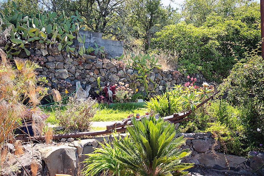 Garten, Casa Tata, Günstige Unterkunft Tijarafe