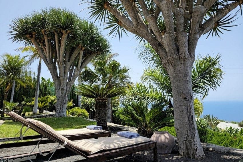 Sunbeds, Casa La Gorgonia, Vacation Home Tijarafe