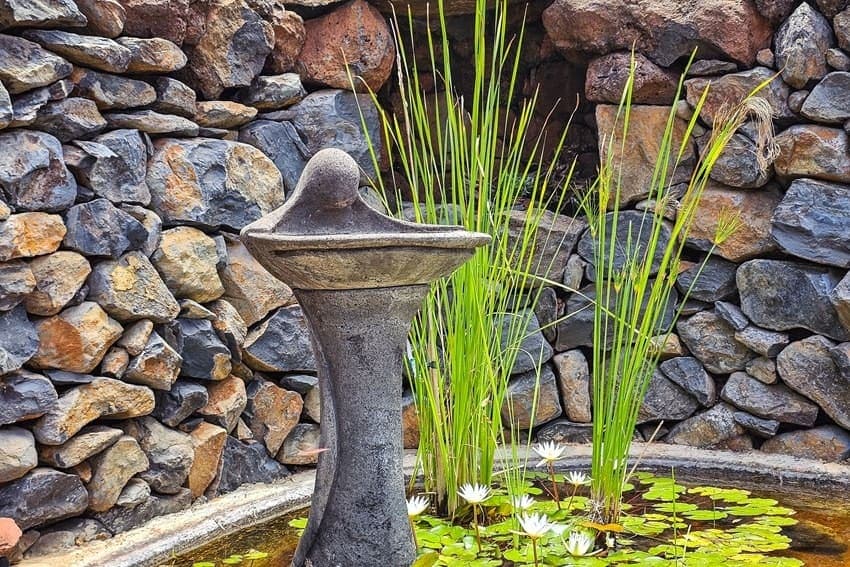 Teich, Villa Miramatos, Ferienhaus mit Pool Puntagorda
