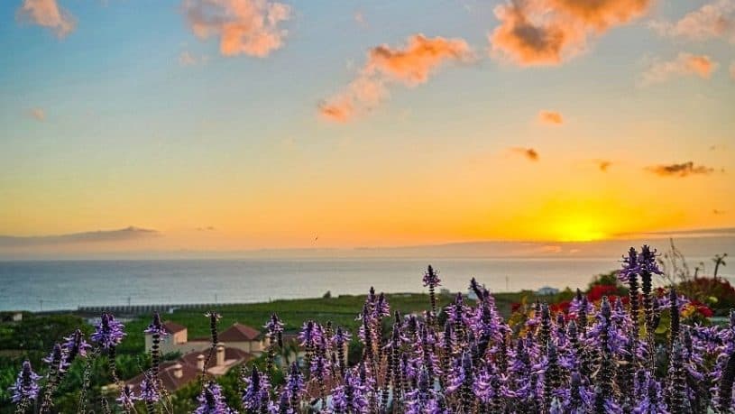 Holiday Tazacorte, La Palma, Seaview, Marmota Bar