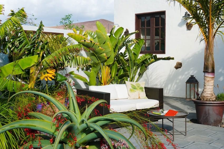 Outdoor Area, Garden Apartment, Lanzarote, Holiday Cottage
