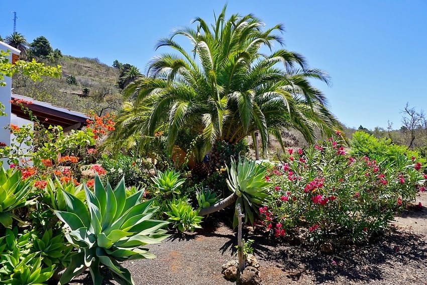 Garden, Casita Nidi, Holiday Home on La Palma
