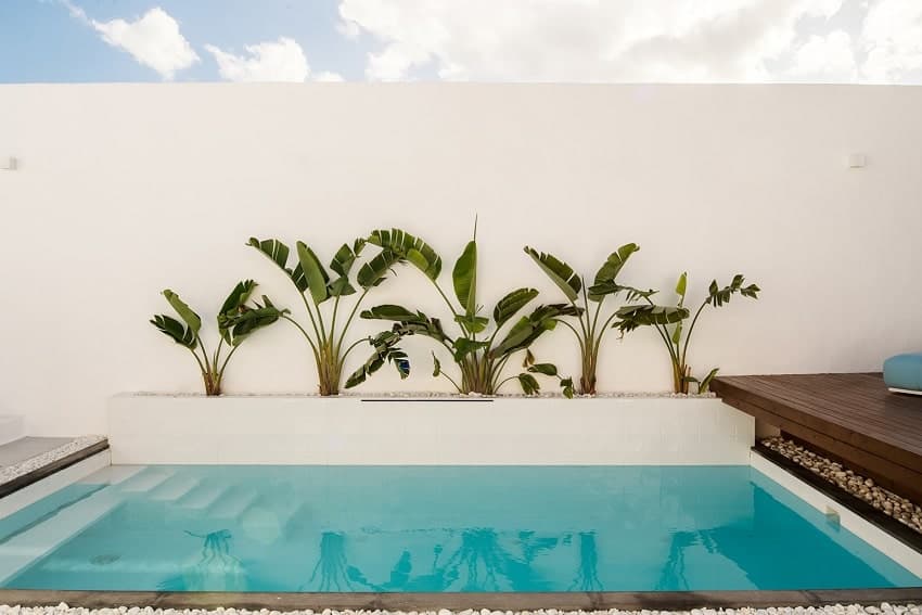 Pool, Villa Areca, Ferienvilla Lanzarote