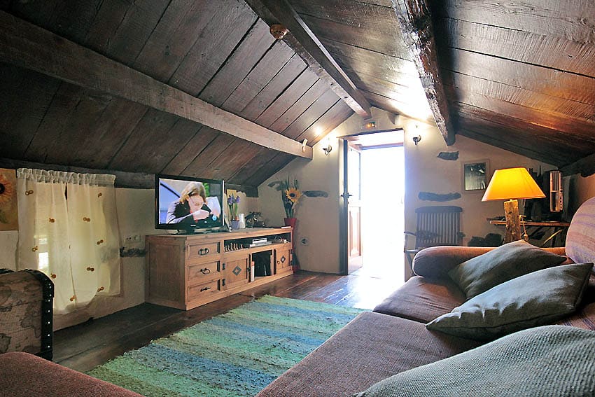 Big wooden ceiling of the living room