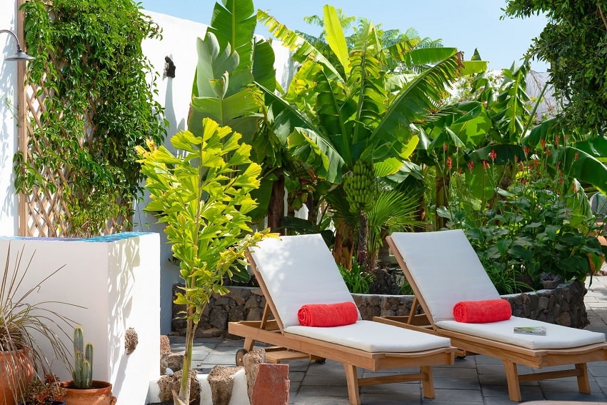 Sunbeds, Secret Garden Villa, Holiday Home Lanzarote