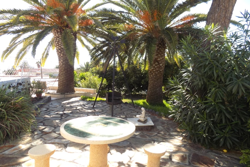 Spanien - Kanarische Inseln - La Palma - Casa La Palmera - Tajuya - Suptropischer Garten mit großen schattenspendenden Palmen und Grillplatz